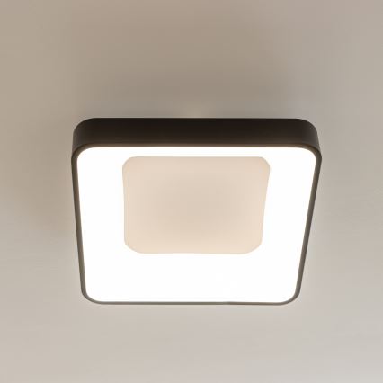 Brilagi - Plafon LED dimerizável FALCON II LED/80W/230V 3000-6500K 40x40 cm preto + controlo remoto