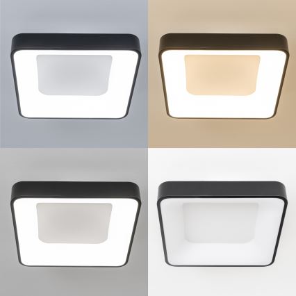 Brilagi - Plafon LED dimerizável FALCON II LED/80W/230V 3000-6500K 40x40 cm preto + controlo remoto