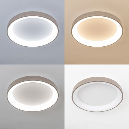 BRILAGI - LED Luminária de tecto dimerizável FALCON II LED/99W/230V 3000-6500K diâmetro 60 cm branco/bege + controlo remoto
