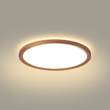 Brilagi - Luminária de teto LED ultrafina para casa de banho LED/12W/230V diâmetro 22,5 cm ouro rosé IP54