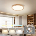 Brilagi - Luminária de Teto LED WOODROUND, 30 W, 230 V, 3000/4000/6000 K, Ø 40 cm, em madeira, IRC 90