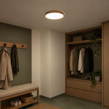 BRILAGI - Luminária de teto NATURA LED/24W/230V 4000K Ø 38,3 cm
