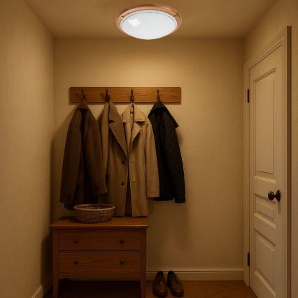 Brilagi - Luminária de teto ORBIS 2xE27/60W/230V Ø 38 cm em pinho