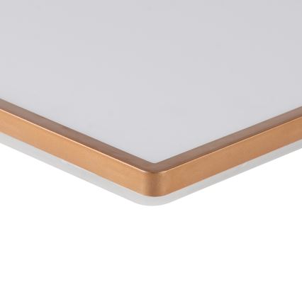 Brilagi - Candeeiro de teto LED para casa de banho ULTRA SLIM LED/24W/230V 42x42 cm ouro rosé IP54