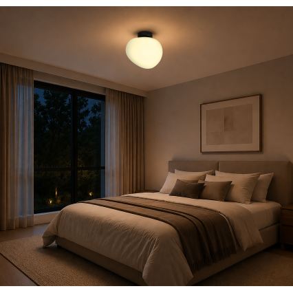 BRILAGI - Luminária de teto PEBBLES 1xE27/40W/230V diâmetro 30 cm preta