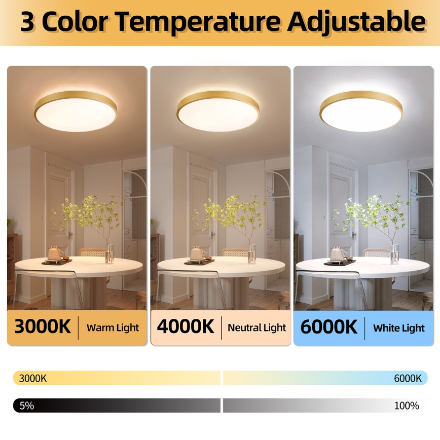 Brilagi - Luminária de teto LED dimerizável GLASS POOL DOUBLE LED/80W/230V 3000-6000K 60 cm dourada + controlo remoto