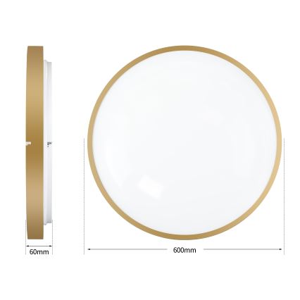 Brilagi - Luminária de teto LED dimerizável GLASS POOL DOUBLE LED/80W/230V 3000-6000K 60 cm dourada + controlo remoto