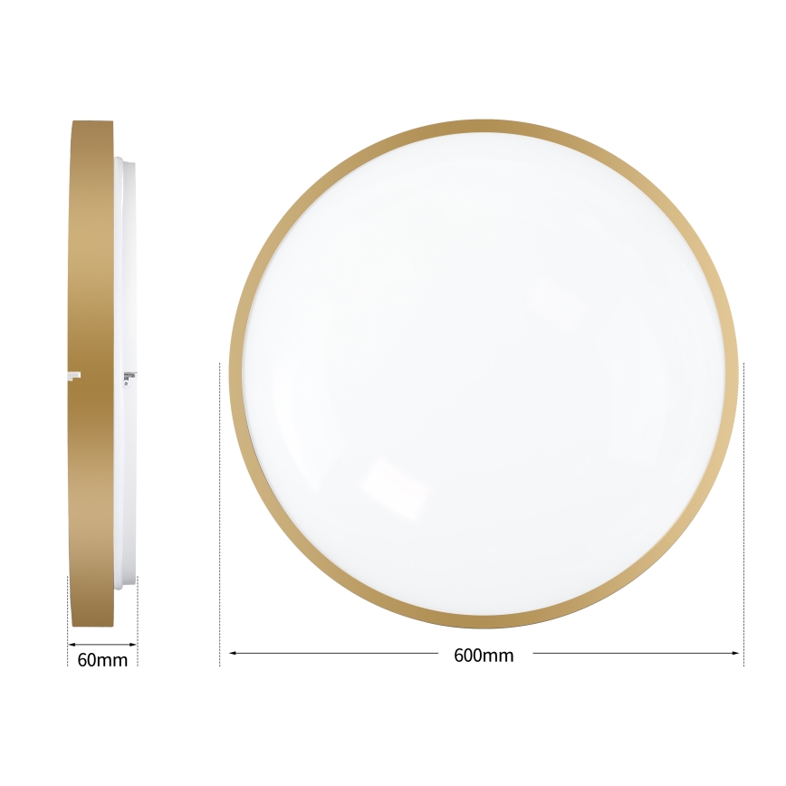 Brilagi - Luminária de teto LED dimerizável GLASS POOL DOUBLE LED/80W/230V 3000-6000K 60 cm dourada + controlo remoto