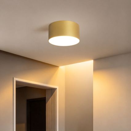 BRILAGI - Luminária de teto LED para casa de banho FORIS LED/14W/230V Ø 12 cm dourada IP44