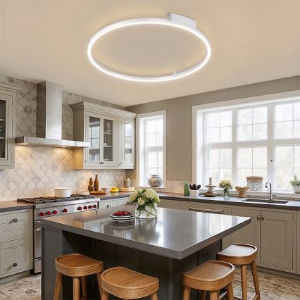 Brilagi - Candeeiro de tecto LED dimerizável PORTOFINO LED/60W/230V 3000-6000K diâmetro 80 cm prateado + controlo remoto