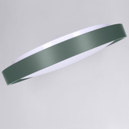 Brilagi - Candeeiro de teto LED regulável MATTEO LED/48W/230V 3000-6500K Ø 41 cm verde + controlo remoto