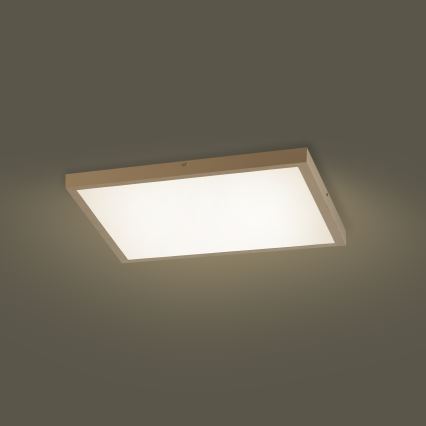 Brilagi - Candeeiro de tecto para casa de banho LED dimerizável FRAME SMART LED/50W/230V 60x60 cm 3000-6000K IP44 bege + comando remoto