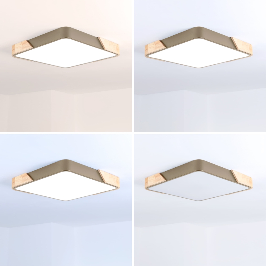 BRILAGI - Candeeiro de tecto LED dimerizável PILANA SQUARE LED/48W/230V 3000-6500K carvalho/bege 42x42 cm + comando remoto