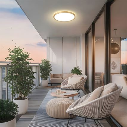 Brilagi - LED Candeeiro de tecto para casa de banho ULTRA SLIM LED/24W/230V Ø 42 cm dourado IP54