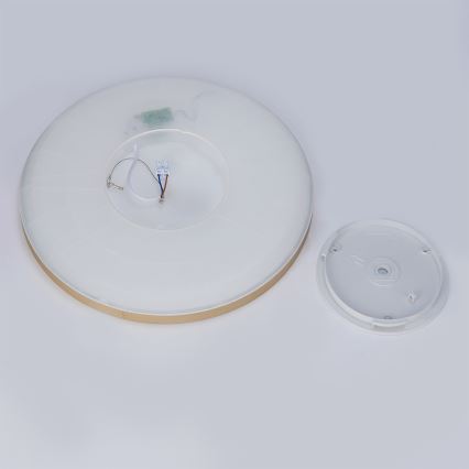 Brilagi - LED Candeeiro de tecto para casa de banho ULTRA SLIM LED/24W/230V Ø 42 cm dourado IP54