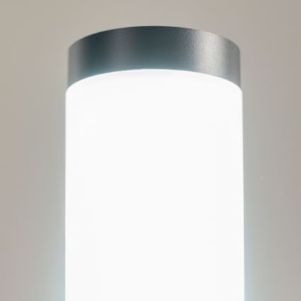 BRILAGI - Luminária LED para exterior ELIA 1xE27/7W/230V 4000K IP44 100 cm antracite