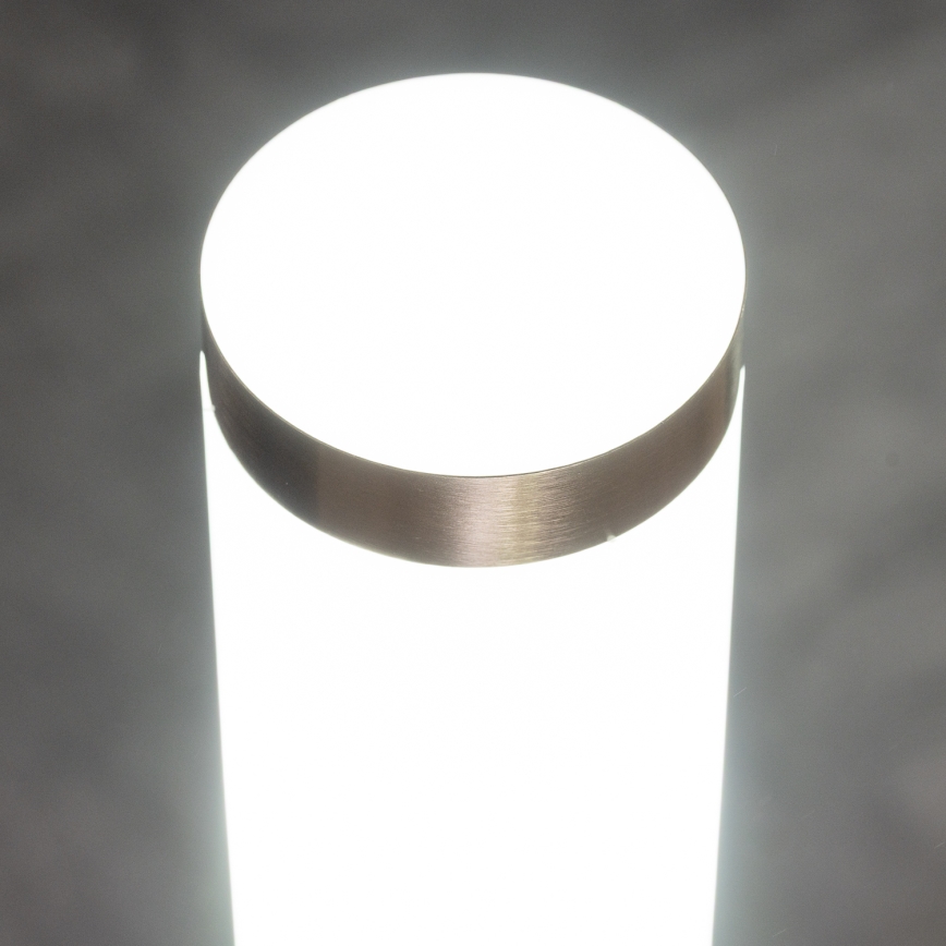 BRILAGI - Luminária LED para exterior ELIA 1xE27/7W/230V 4000K IP44 100 cm cromo fosco