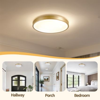 Brilagi - Luminária de teto dimerizável GLASS POOL DOUBLE LED/48W/230V 3000-6000K 40 cm dourada + comando remoto