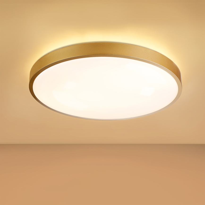 Brilagi - Luminária de teto LED dimerizável GLASS POOL DOUBLE LED/60W/230V 3000-6000K 50 cm dourada + comando remoto