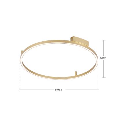 Brilagi - Candeeiro de tecto LED dimerizável PORTOFINO LED/60W/230V 3000-6000K Ø 80 cm dourado + comando remoto