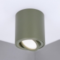 BRILAGI - Luminária spot MIA 1xGU10/30W/230V 84x80 mm verde escuro