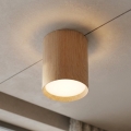 BRILAGI - Luminária spot SMOOTH LONG 1xGX53/15W/230V 100x82 mm, acabamento carvalho