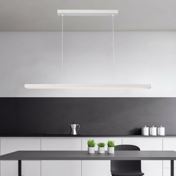 Brilagi - Lustre de LED suspenso por cabo PAXIS LED/30W/230V 120 cm branco