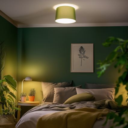 Brilagi - Lustre de teto LED CERIA de montagem em superfície 1xE27/40W/230V, diâmetro 45 cm, verde