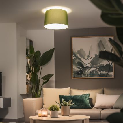 Brilagi - Lustre de teto LED CERIA de montagem em superfície 1xE27/40W/230V, diâmetro 45 cm, verde