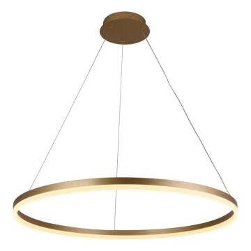 Brilagi - Lustre LED dimável suspenso por cabo CIRCLE LED/55W/230V 3000–6500K Ø 80 cm dourado + controlo remoto
