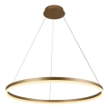 Brilagi - Lustre LED dimerizável suspenso por cabo CIRCLE LED/55W/230V 3000-6500K Ø 80 cm dourado + comando remoto