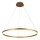 Brilagi - Lustre LED dimerizável suspenso por cabo CIRCLE LED/55W/230V 3000-6500K Ø 80 cm dourado + comando remoto