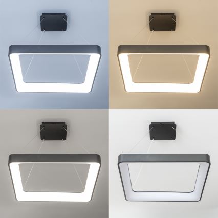 Brilagi - Lustre LED regulável suspenso por cabo FALCON II LED/125W/230V 3000-6500K 60x60 cm preto + controlo remoto