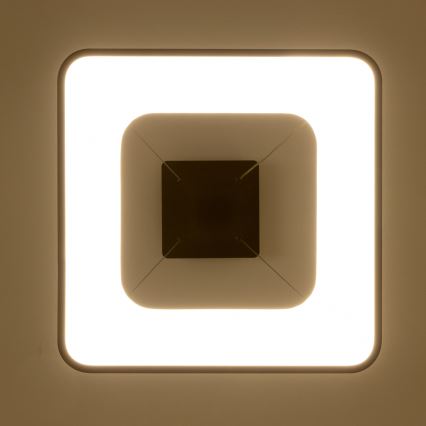 Brilagi - lustre LED regulável suspenso por cabo FALCON II LED/80W/230V 3000-6500K 40x40 cm preto + controlo remoto