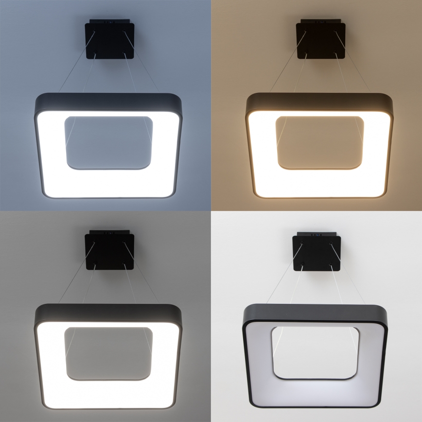 Brilagi - Lustre LED dimerizável suspenso por cabo FALCON II LED/80W/230V 3000-6500K 40x40 cm preto + controlo remoto