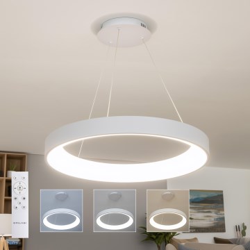Brilagi - Lustre LED dimerizável suspenso por cabo FALCON II LED/99W/230V 3000–6500K Ø 60 cm branco + comando remoto
