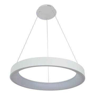 Brilagi - Lustre LED dimerizável suspenso por cabo FALCON II LED/99W/230V 3000-6500K Ø 60 cm branco + controlo remoto