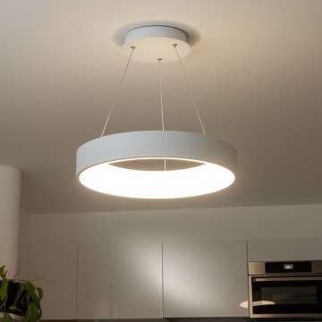 Brilagi - Lustre LED dimerizável suspenso por cabo FALCON LED/80W/230V 3000-6500K Ø 60 cm branco + comando remoto