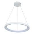Brilagi - Lustre LED dimerizável suspenso por cabo FALCON SLIM LED/42W/230V 3000–6500K Ø 50 cm branco + comando remoto