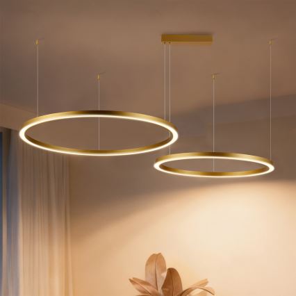 Brilagi - Lustre pendente LED regulável em cabo PORTOFINO LED/98W/230V 3000-6000K dourado + comando remoto