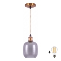 BRILAGI - Lustre LED em cabo RETRO GLASS 1xE27/60W/230V Ø 14 cm dourado/cinzento fumado