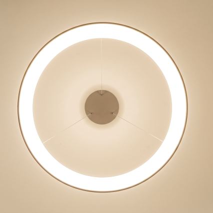 BRILAGI - Lustre dimerizável suspenso por cabo FALCON II LED/108W/230V 3000-6500K Ø 80 cm bege + controlo remoto