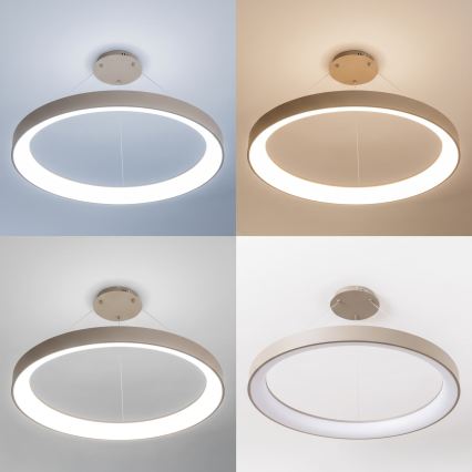 BRILAGI - Lustre dimerizável suspenso por cabo FALCON II LED/108W/230V 3000-6500K Ø 80 cm bege + controlo remoto