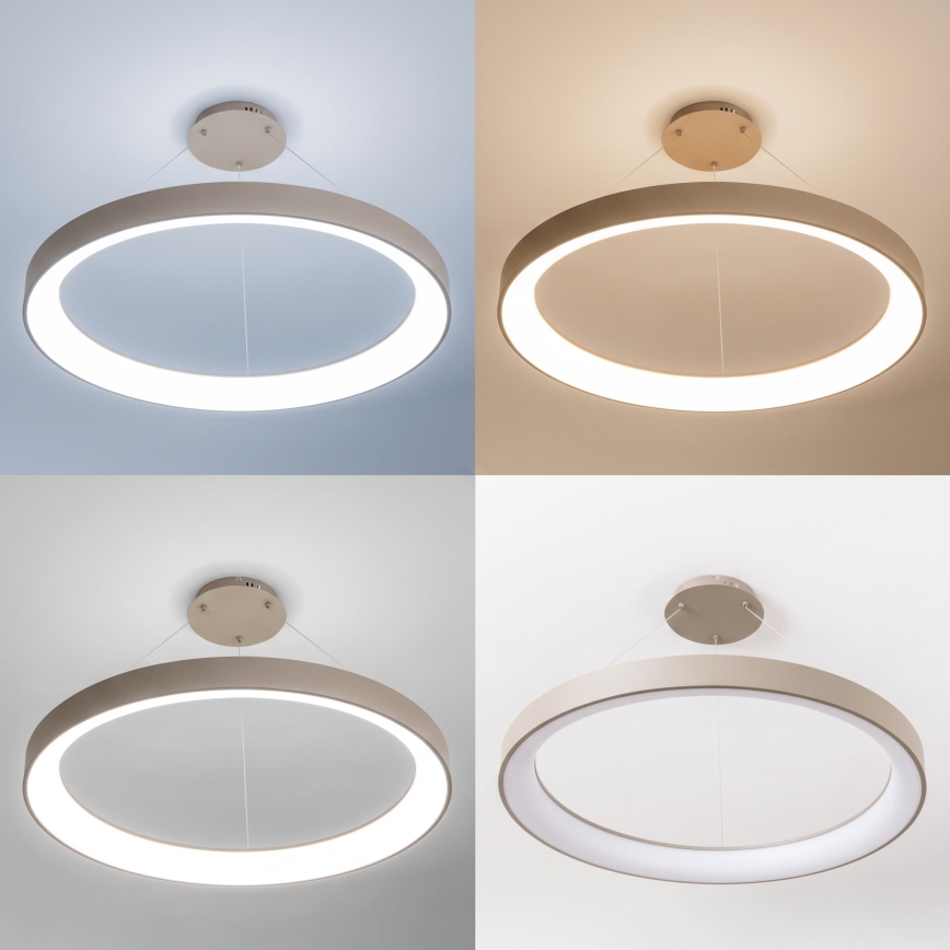 BRILAGI - Lustre dimerizável suspenso por cabo FALCON II LED/108W/230V 3000-6500K Ø 80 cm bege + controlo remoto