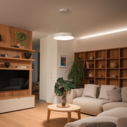 Brilagi - Lustre LED dimerizável suspenso por cabo FALCON II LED/67W/230V 3000-6500K Ø 40 cm branco + controlo remoto