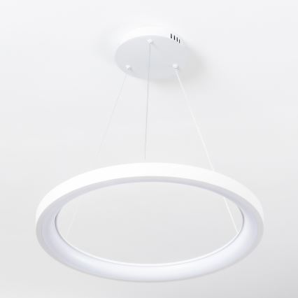 Brilagi - Lustre pendente LED dimerizável em cabo FALCON SLIM LED/42W/230V 3000-6500K Ø 50 cm branco + controlo remoto