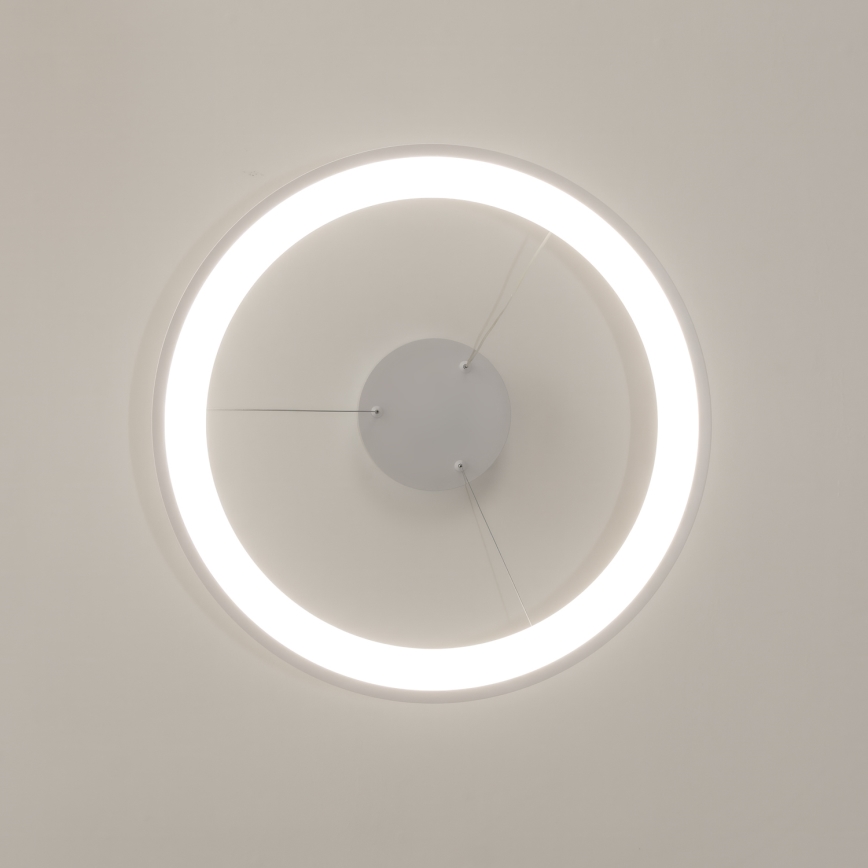 Brilagi - Lustre pendente LED dimerizável em cabo FALCON SLIM LED/42W/230V 3000-6500K Ø 50 cm branco + controlo remoto
