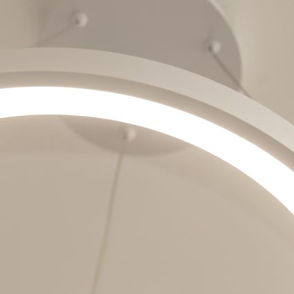 Brilagi - Lustre pendente LED dimerizável em cabo FALCON SLIM LED/42W/230V 3000-6500K Ø 50 cm branco + controlo remoto