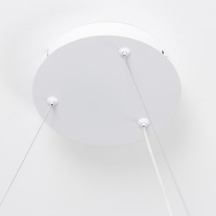 Brilagi - Lustre pendente LED dimerizável em cabo FALCON SLIM LED/42W/230V 3000-6500K Ø 50 cm branco + controlo remoto