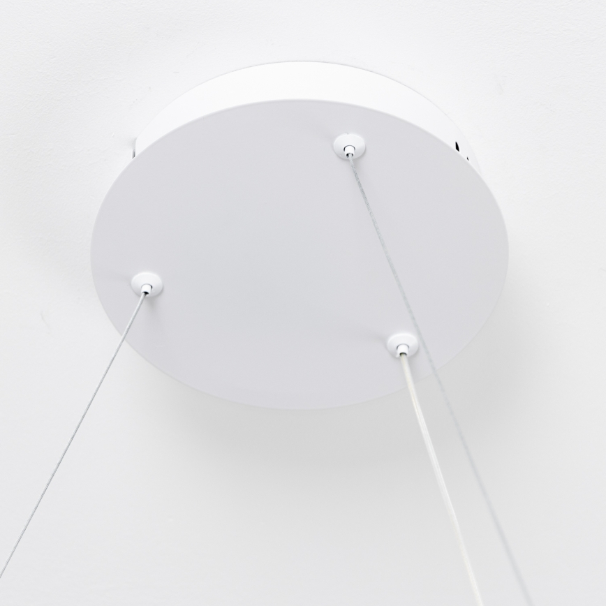 Brilagi - Lustre pendente LED dimerizável em cabo FALCON SLIM LED/42W/230V 3000-6500K Ø 50 cm branco + controlo remoto